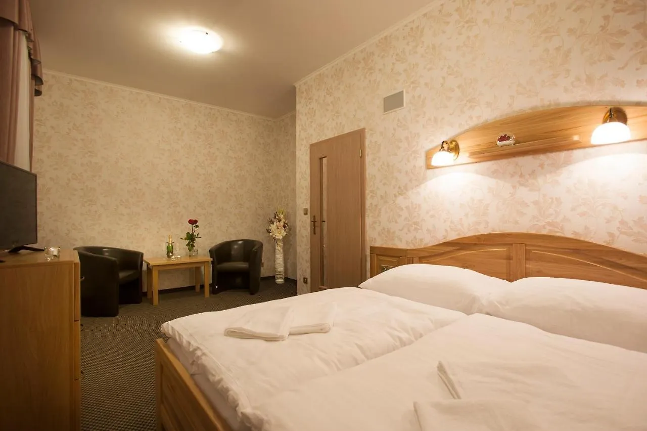 Spa Hotel Millenium Карловы Вары