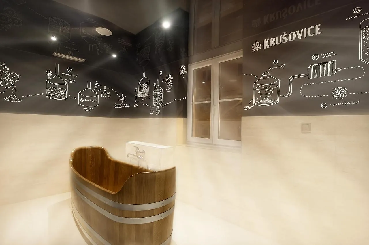***  Spa Hotel Millenium Карловы Вары Чехия